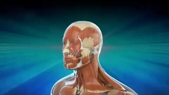 Temporalis Smile Lift for Smile Reanimation